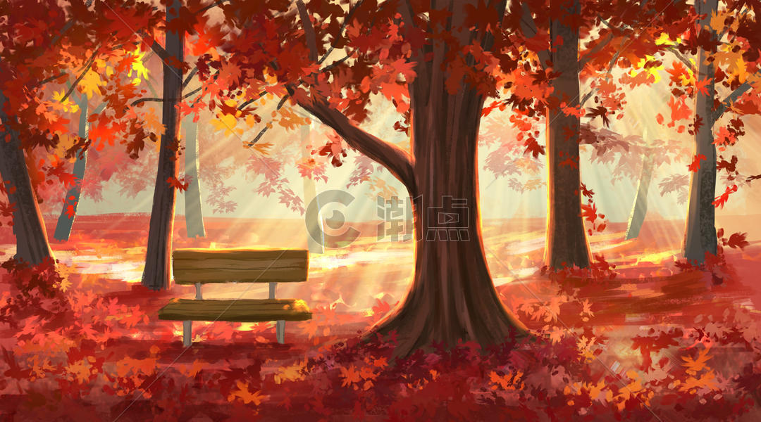 秋天的红叶林图片素材免费下载
