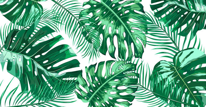 热带植物背景插画图片素材免费下载
