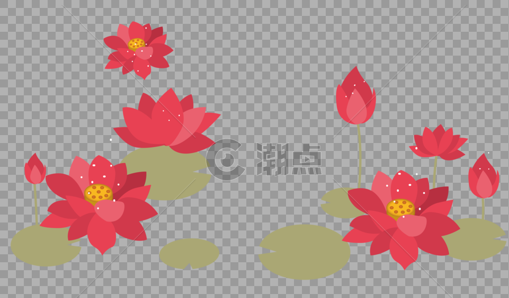 中秋节花卉图片素材免费下载