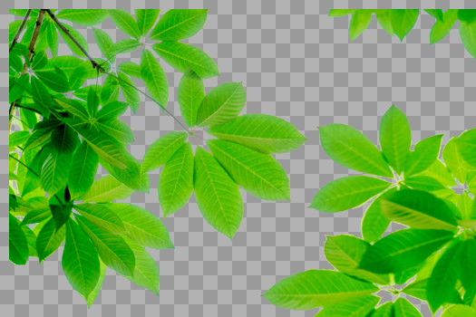 绿色树叶边角装饰图片素材免费下载