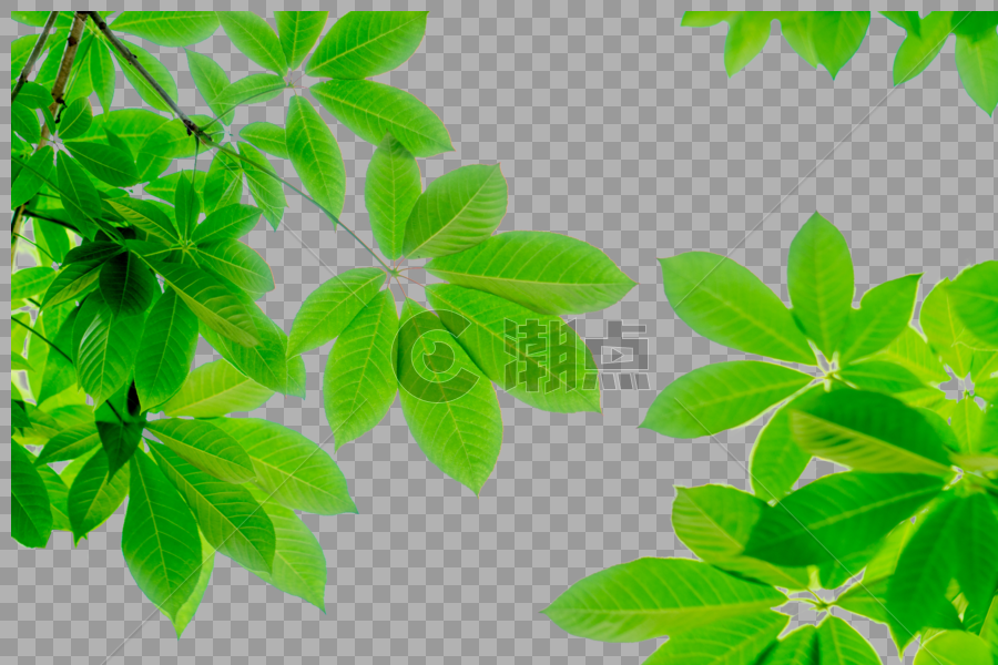 绿色树叶边角装饰图片素材免费下载