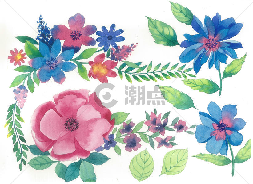 水彩花卉植物元素图片素材免费下载