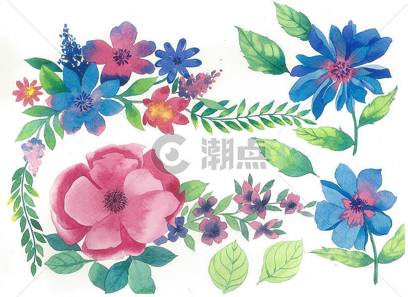 水彩花卉植物元素图片素材免费下载
