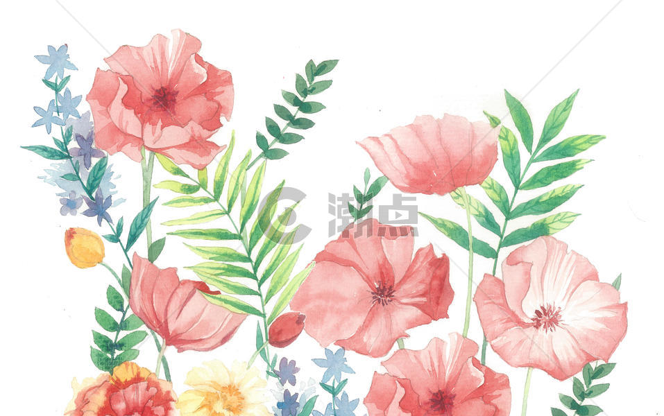 手绘水彩花卉绿植图片素材免费下载