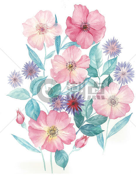手绘水彩花卉图片素材免费下载