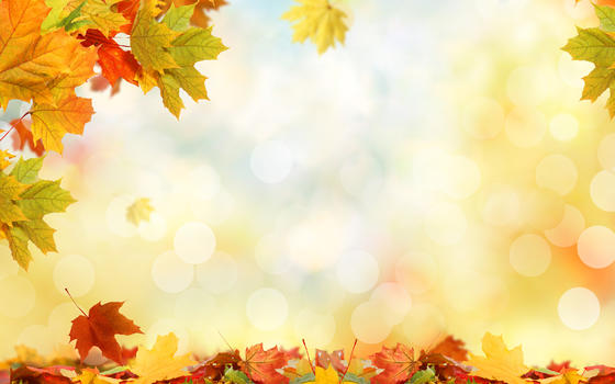 秋季唯美背景图片素材免费下载