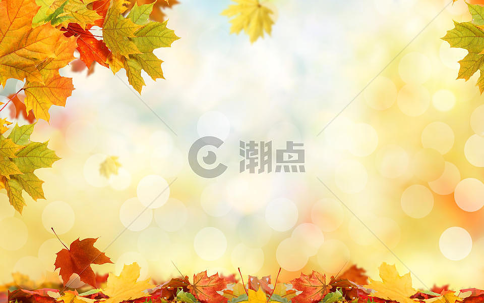 秋季唯美背景图片素材免费下载