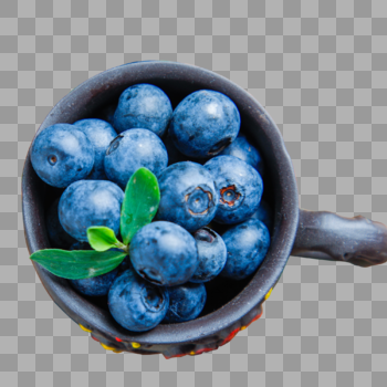 精品蓝莓图片素材免费下载
