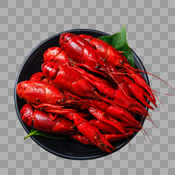 红烧龙虾图片素材免费下载