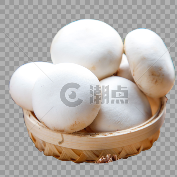 新鲜小白菇图片素材免费下载
