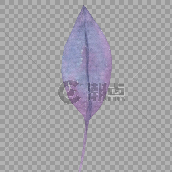 紫色树叶图片素材免费下载
