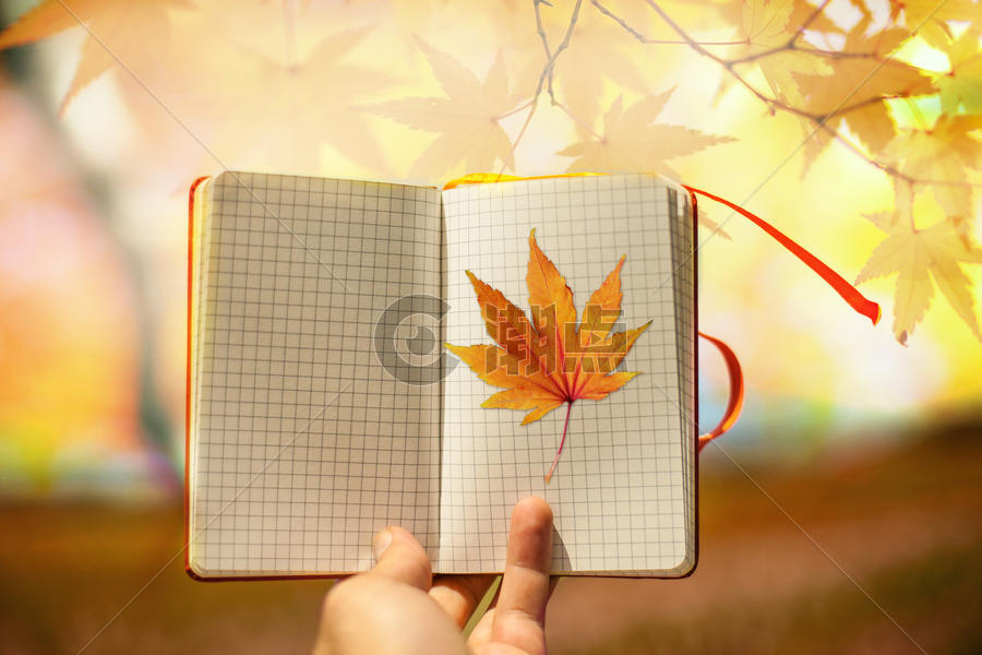秋季创意图片图片素材免费下载