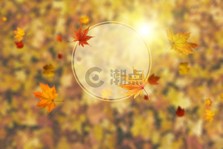 秋季背景图片图片素材免费下载