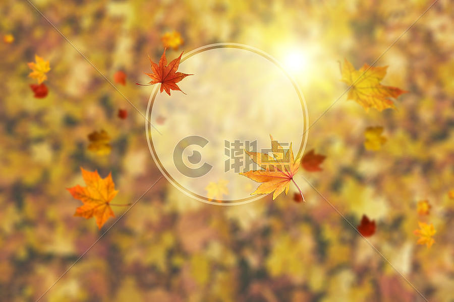 秋季背景图片图片素材免费下载