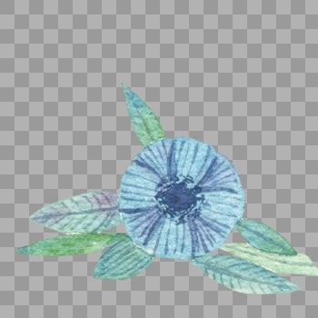蓝色花朵叶子组合图片素材免费下载
