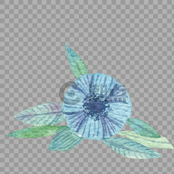 蓝色花朵叶子组合图片素材免费下载