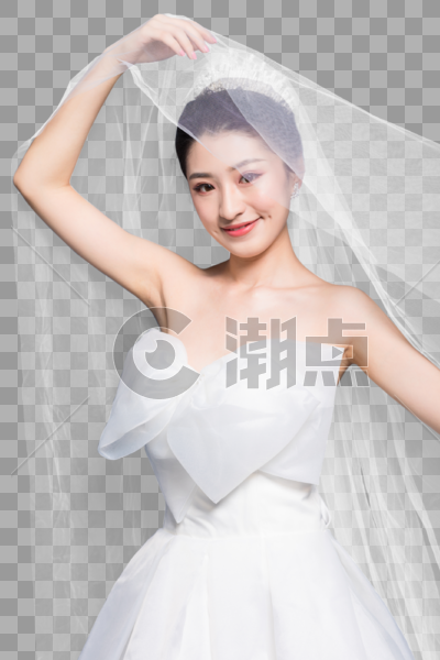 新娘戴白色头纱图片素材免费下载