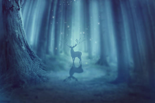 神秘森林小鹿图片素材免费下载