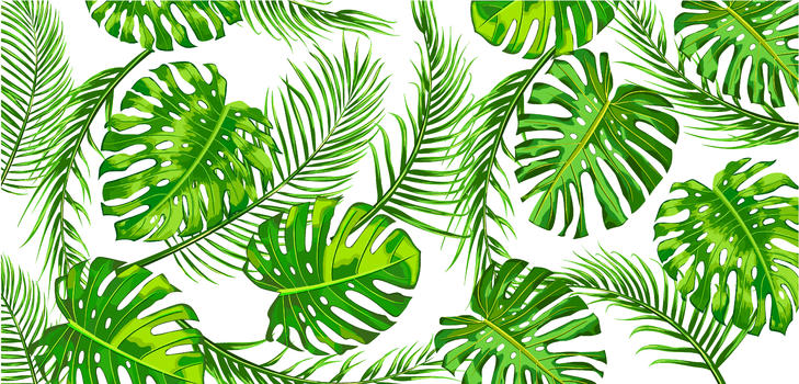 热带植物插画图片素材免费下载