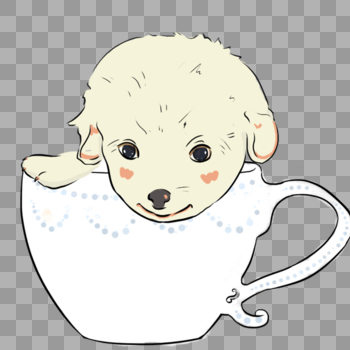 茶杯宠物狗图片素材免费下载