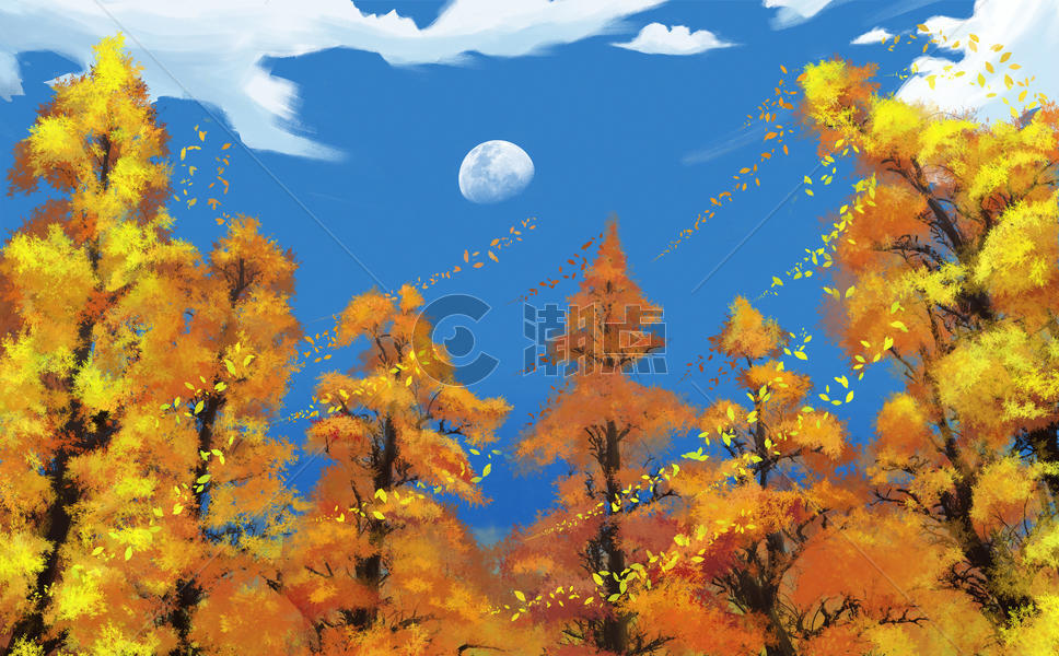 秋天树林图片素材免费下载