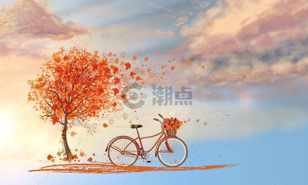 枫树下的自行车图片素材免费下载