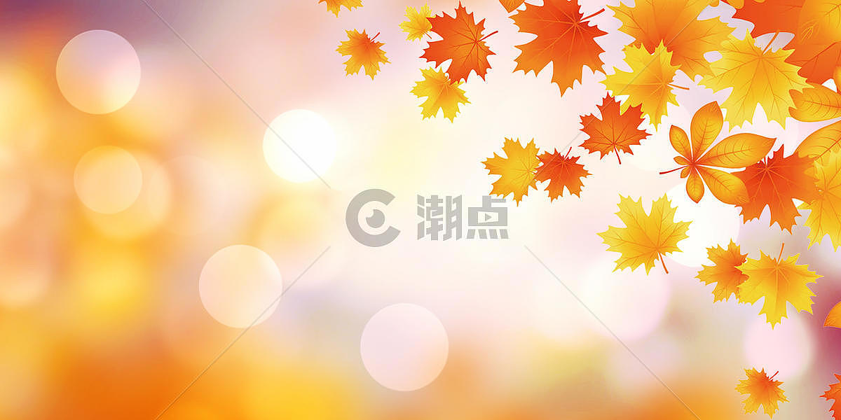 秋天枫叶图片素材免费下载