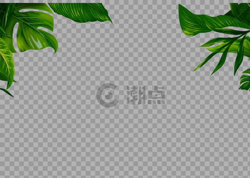 芭蕉树叶绿色图片素材免费下载