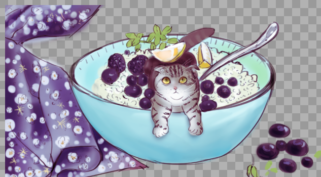 碗里的小猫图片素材免费下载