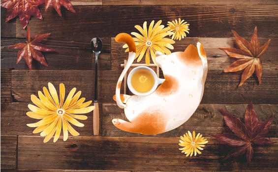 秋天茶与猫图片素材免费下载