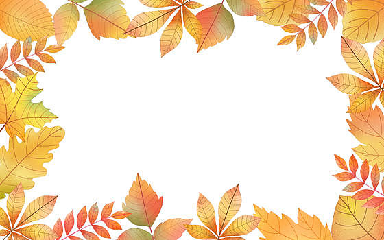 秋季枫叶背景图片素材免费下载