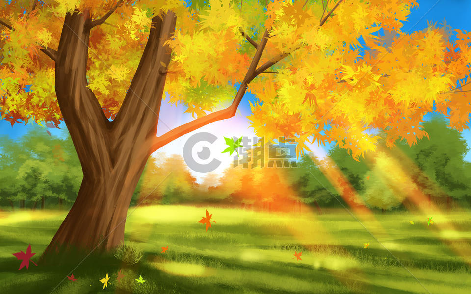 秋分阳光树林插画图片素材免费下载