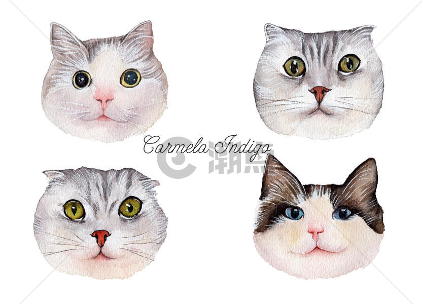 水彩手绘猫子图片素材免费下载