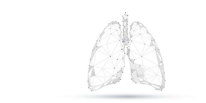 人体器官肺部图片素材免费下载