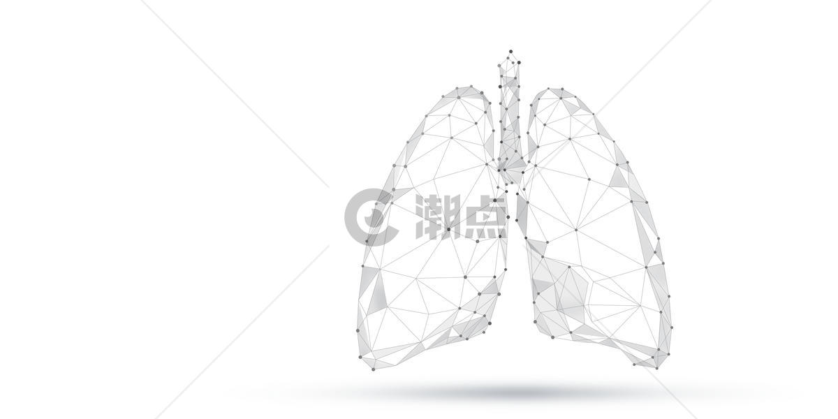 人体器官肺部图片素材免费下载