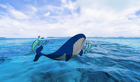 嬉戏的鲸鱼创意摄影插画图片素材免费下载