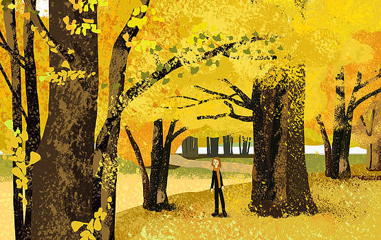秋天的银杏树林图片素材免费下载