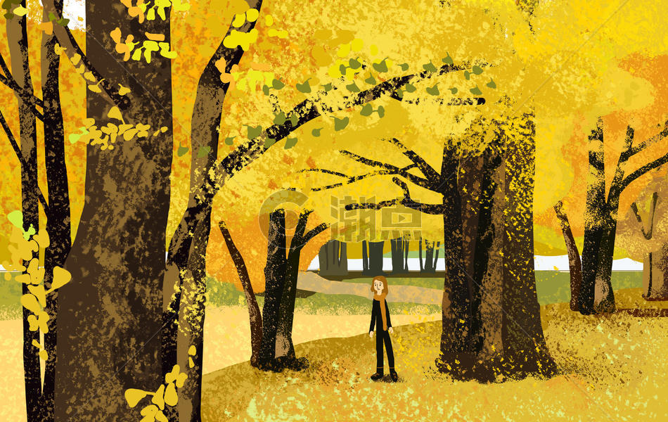 秋天的银杏树林图片素材免费下载