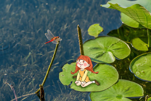 荷塘里的红蜻蜓图片素材免费下载