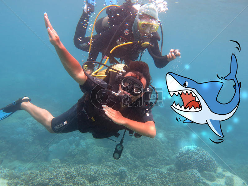 水下冒险被鲨鱼追创意摄影插画图片素材免费下载