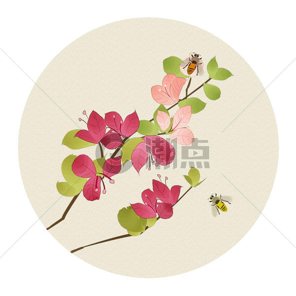 中国风花卉图片素材免费下载