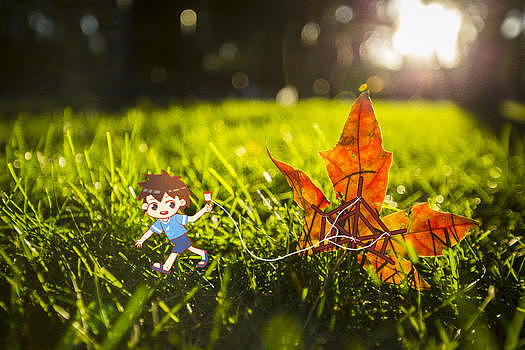 秋天的枫叶创意插画摄影图片素材免费下载