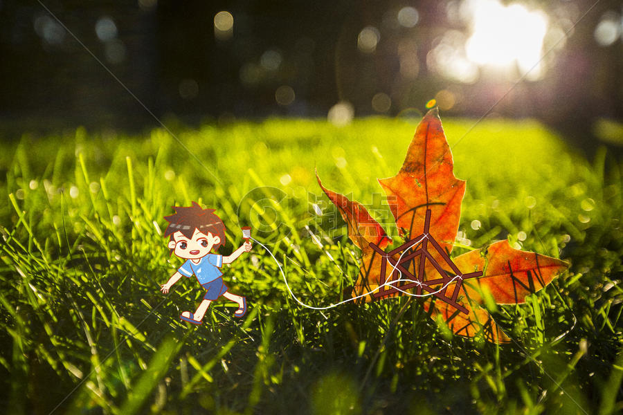秋天的枫叶创意插画摄影图片素材免费下载