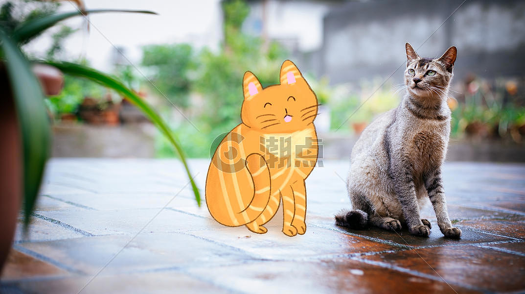 卡通手绘橘猫创意摄影插画图片素材免费下载
