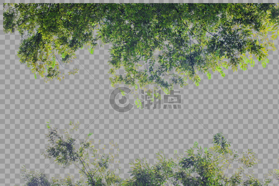 树林树叶蓝天白云自然风光图片素材免费下载