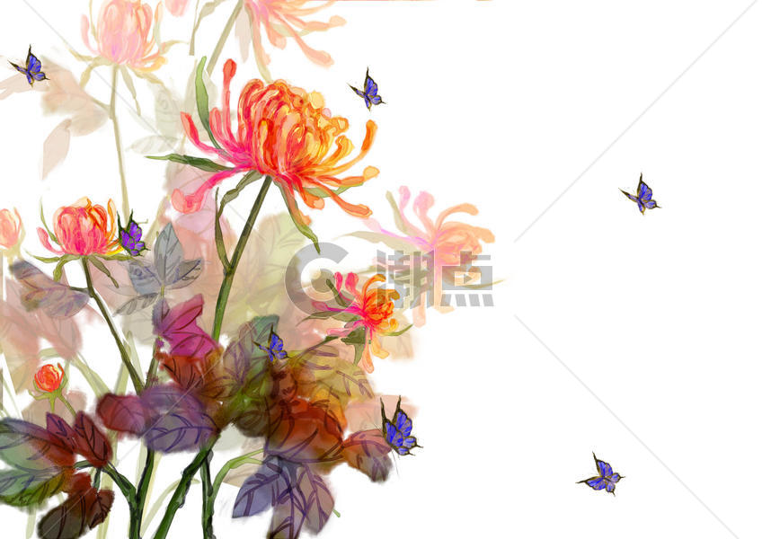 中国风水墨水彩菊花图片素材免费下载