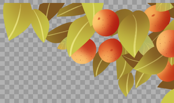 橘子树图片素材免费下载