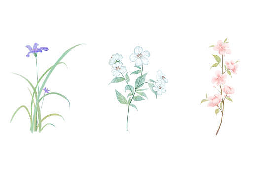 花卉小物图片素材免费下载