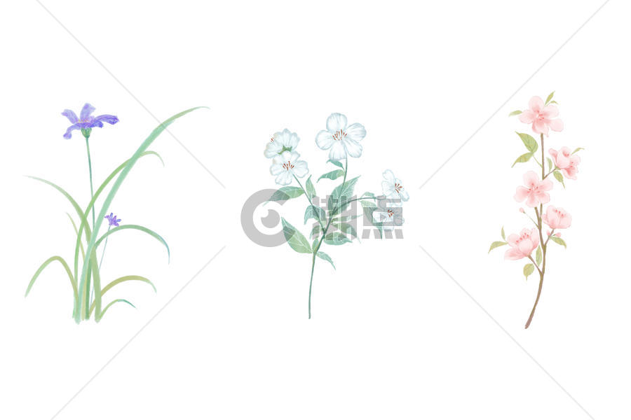 花卉小物图片素材免费下载