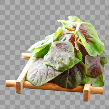 新鲜蔬菜苋菜图片素材免费下载